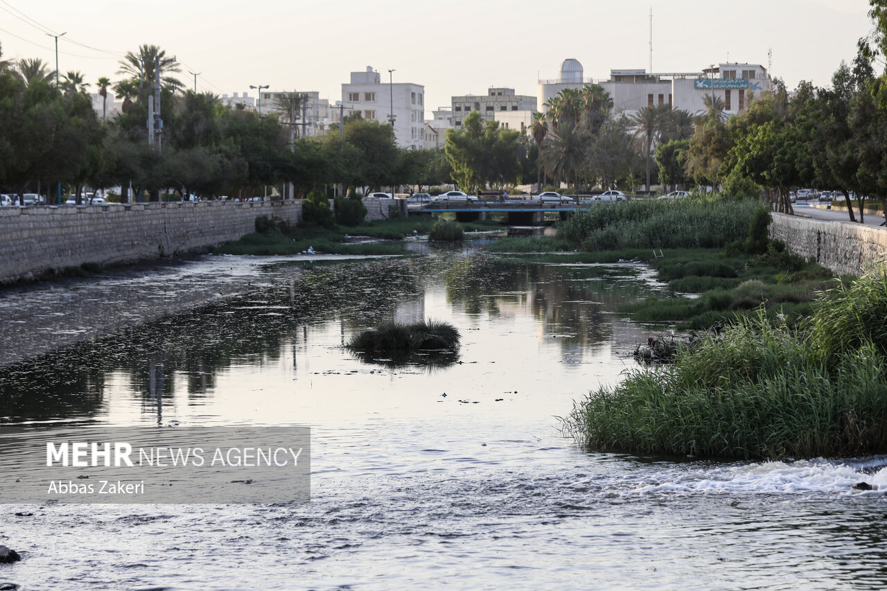زنگ خطر محیط زیستی و اجتماعی در شهر ساحلی جنوب